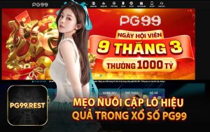 Mẹo Nuôi Cặp Lô Hiệu Quả Trong Xổ Số PG99