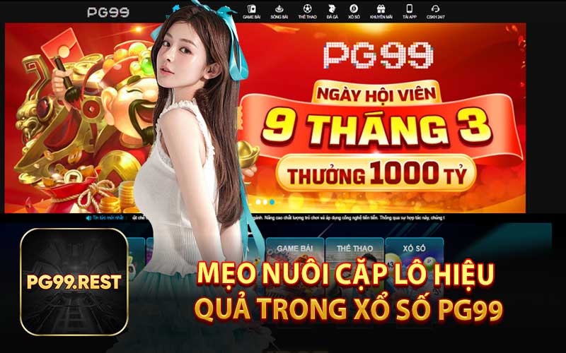 Mẹo Nuôi Cặp Lô Hiệu Quả Trong Xổ Số PG99